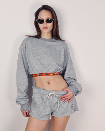 SNOOPY CROP SWEATER AMERICAN GREY